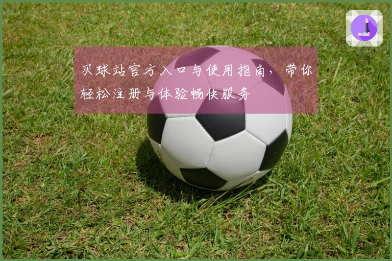 买球站官方入口与使用指南，带你轻松注册与体验畅快服务