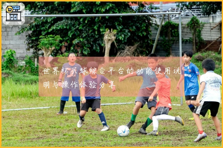 世界杯买球综合平台的功能使用说明与操作体验分享