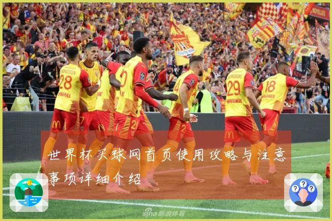 世界杯买球网首页使用攻略与注意事项详细介绍