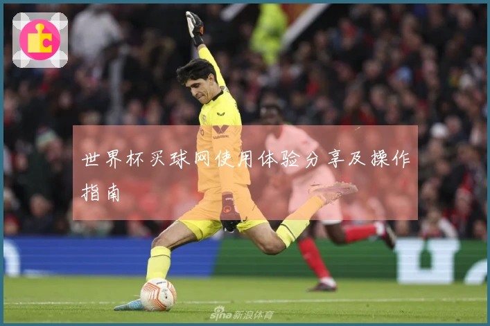 世界杯买球网使用体验分享及操作指南