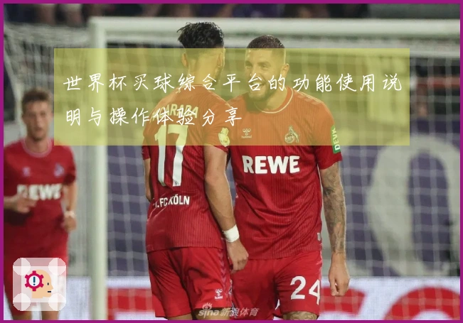 世界杯买球综合平台的功能使用说明与操作体验分享