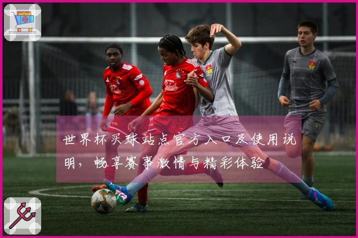 世界杯买球站点官方入口及使用说明，畅享赛事激情与精彩体验
