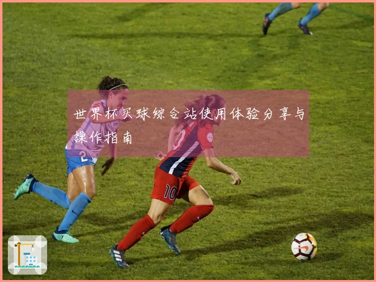 世界杯买球综合站使用体验分享与操作指南