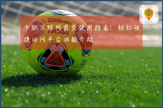 中欧买球网首页使用指南：轻松快捷访问平台功能介绍