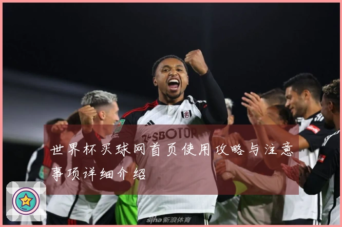 世界杯买球网首页使用攻略与注意事项详细介绍