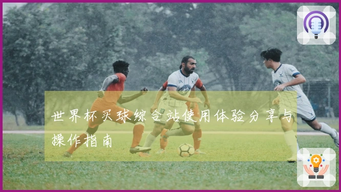 世界杯买球综合站使用体验分享与操作指南